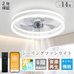 シーリングファンライト シーリングファン led シーリングライト 15畳 調光調色 ファン付き照明 照明器具 天井照明 扇風機 サーキュレーター リビング 家庭用