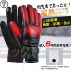 電熱グローブ バイク 自転車 電熱手袋 USB給電式 ヒーターグローブ 3段階温度調整 長時間連続発熱 防水 防寒 冬 冷蔵庫内作業 登山 釣り アウトドア スマホ対応