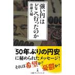 「強い円」はどこへ行ったのか (日経プレ