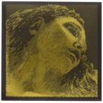 EVAH PIRAZZI GOLD エヴァ ピラッツィ ゴールド ヴァイオリン弦E線 (ループエンド)