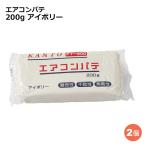関東器材 エアコンパテ 2個 200g アイボリー エアコン・配管用パテ PT-200-2P