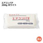 関東器材 エアコンパテ 2個 200g ホワイト エアコン・配管用パテ PT-200W-2P