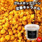  стандартный карамель Popcorn 3 шт. комплект [ бесплатная доставка ] закуска конфеты рука земля производство подарок приветствие маленький подарок сладости снэки ответ закуска День матери 