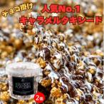 人気No.1 チョコ掛けキャラメルポップコーン2個セット【送料無料】おつまみ スイーツ 手土産 プレゼント  挨拶  プチギフト　お菓子　スナック　お返し　おやつ