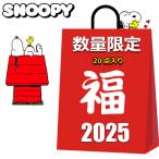 ショッピングスヌーピー スヌーピー グッズ 2025 福袋 レディース キッズ 中身が見える 20点入り 20000円 スヌーピーグッズ バッグ 雑貨 小物 その他グッズ