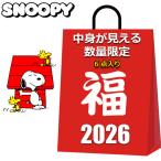  Snoopy товары 2026 лотерейный мешок содержание . видно 6 пункт ввод 2980 иен женский Kids мешочек сумка большая сумка носки мешочек 