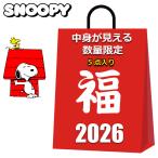 ショッピングスヌーピー スヌーピー グッズ 2026 福袋 レディース キッズ 中身が見える 5点入り 5000円 スヌーピーグッズ 水筒 マグカップ 膝掛け SNOOPY クリスマス プレゼント 2025