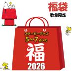 スヌーピー 福袋 2025 グッズ 5~7点 5980円 レディース キッズ 雑貨 SNOOPY ハズレ無し 盛りだくさん