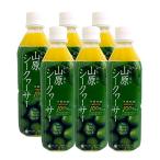 琉球フロント沖縄 山原シークヮーサー 500ml 6本セット
