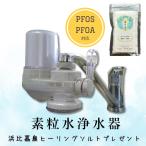 [ свободный наука официальный агент ] элемент шарик вода водяной фильтр one вода ECO Okinawa префектура . соотношение . остров исцеление соль имеется * бесплатная доставка 