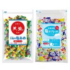 赤穂化成 天塩の塩あめ 4種ミックス 1kg (約220粒入）灼熱対策 塩タブレット 500g × 2袋セット 大容量 塩飴