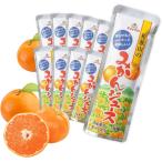 ゴールドパック 凍らせておいしい フルーツジュース 国産果汁 和歌山のみかん 10本 お中元 暑中見舞い みかん ギフト アソート
