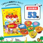 ショッピングゼリー どうぶつえんゼリー 53個 フルーツゼリー 大容量 ギフト 業務用 動物園ゼリー ポイント利用