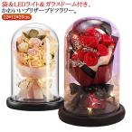 母の日 母の日 花 プリザーブド フラワー ガラスドーム ソープフラワー お祝い ライト付き 枯れない花 花 プレゼント 結婚記念日 送別会 ブーケ