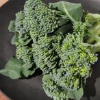 [ палочка брокколи / стебель брокколи 1kg] юг . общий. сельское хозяйство дом .. прямая поставка!