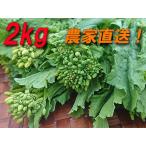  бесплатная доставка![ еда для . цветок (...,.. цветок,... .)2kg] утро брать . сельское хозяйство дом прямая поставка!