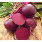 [ свекла ( Be tsu). рассада 6 шт. комплект te Toro ito темный красный ] пить натуральный транспорт . говорят, что . высота питание стоимость. овощи 