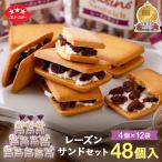 ショッピングクッキー 業務用  レーズンたっぷり！レーズンサンド４個入12袋セット！ 送料込み 母の日 お菓子 ギフト お土産 クッキー お祝い  引っ越し祝い ご挨拶 退職挨拶 個包装