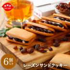 母の日 プレゼント お菓子 ギフト プチギフト 退職 内祝い 引っ越し祝い ラムレーズン クッキー 焼き菓子 スイーツ 個包装 送料無料 レーズンサンド6個セット