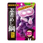 150円 味覚糖 忍者めし鋼 グレープ味 [1箱 10個入]
