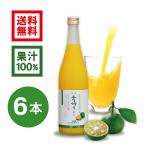 シークワーサー 果実 ジュース 青切り果汁 720ml×6本 シークヮーサー