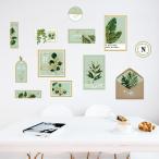 ウォールステッカー ナチュラル 写真枠 リーフ 壁紙シール モンステラ ポトス 創作 リビング 即日
