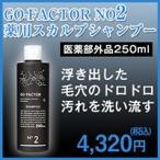 GO-FACTOR　NO2　薬用スカルプシャンプー医薬部外品【通常】