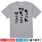 おもしろTシャツ ちょっと何言ってるのかわからない 