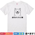 おもしろTシャツ 前世はたぶん太陽メンズ レディース キッズ 柴犬Tシャツ イヌTシャツ