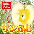 りんご 青森 サンふじ 家庭用 1...