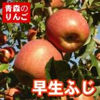  бесплатная доставка Aomori яблоко Aomori префектура производство . сырой .. для бытового использования 10c коробка (24 шт ~40 штук входит ) four season 