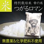 送料無料 完全 無農薬米 (化学肥料不使用) つがるロマン 10kg　津軽ロマンお米 おこめ お米10? 玄米 胚芽米 白米 新米 お米2?白米送料無料