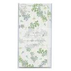  сейчас день. . письмо один кисть . розмарин LI311