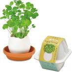 聖新陶芸 通年 家庭菜園 簡単 栽培キット 四つ葉のクローバー 花 栽培セット (自由研究) 鉢約7*9cm エッグリング エコ 母の日 プレゼント 誕生日 EG-6004