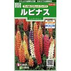 sakata. tane реальный . цветок 6885rupinas russell mina let Mix 00906885