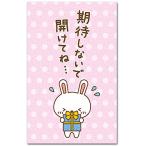 おもしろポチ袋 「期待しないで開けてね」 多目的祝儀袋 5枚入り