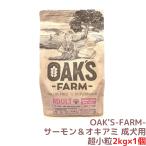 ドッグフード サーモン&オキアミ 成犬用 2kg×1個 総合栄養食 ドライフード グレインフリー 超小粒 (賞味期限 2026年6月30日)