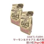 ドッグフード サーモン&オキアミ 成犬用 2kg×2個 総合栄養食 ドライフード グレインフリー 超小粒 (賞味期限 2026年6月30日)