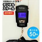 デジタルスケール 量り フィッシング スケール 計量器 吊り下げ ラゲッジチェッカー 魚釣り トラベルスケール 金属 フック 風袋機能付 送料無料