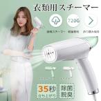 ハンディスチーマー スチームアイロン 衣類スチーマー スチーム 折り畳み 最速＆最軽量 シワ伸ばし 蒸気 コンパクト プレゼント 消臭 脱臭  送料無料