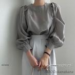 パフスリーブブラウス レディーストップスシャツ 長袖 春夏服 透け感 丸首 フリル プルオーバー 長袖ブラウス シャツブラウス オフィス 大人 卒業式 入学式 20代