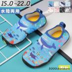 ショッピングマリンシューズ キッズ マリンシューズ キッズ 子供 水陸両用 靴 スポーツ 海 岩場 アクアシューズ 海水浴 軽量 恐竜 サメ ハート 砂遊び 川 小学生 夏 海 黒 白