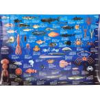  глубокий море живое существо постер очень большой размер глубокий море большой все ванна постер иллюстрированная книга A1 размер 841×584mm ki-090-b