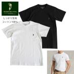 ショッピングポイント ウエスタンPOLO　今なら一枚プレゼント Tシャツ  Western POLO ワンポイント 半袖  Tシャツ 綿100％ polo888 白 黒 しっかりTシャツ