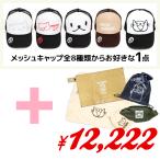 【2/25発送予定】 猫の日 限定 ちょ