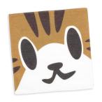 猫 おもしろ かわいい タオル ねこがお：キジトラ ネコ ねこ 猫柄 雑貨 - ミニタオル - SCOPY スコーピー