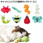 DADWAY FAD+ �L���b�g�g�C�~�j �L�p ��������