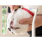  кошка для уход за зубами ma Индия выше кошка . уход чай s щетка 