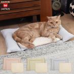 ゴロにゃんオリジナル cocochi (ここち) 防水シーツつき 介護用ベッド