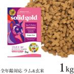 猫用ドライフード